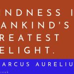 294 - The Ripple Effect of Small Acts of Kindness: A Stoic Perspective cover
